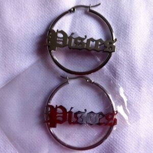Pisces sign brand new silver colored earrings
